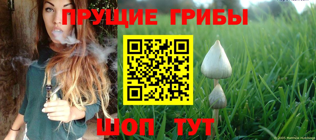 Галлюциногенные грибы GOLDEN TEACHER Знаменск